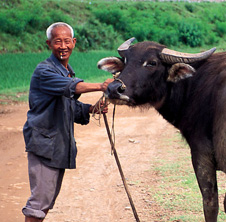 小型飼料顆粒機,農(nóng)民圓夢！